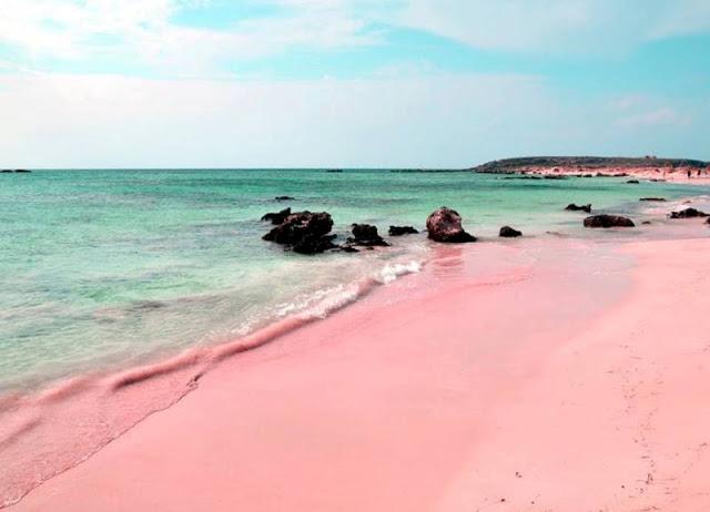1.-Pink-Sand-Beach-of-Sta-Cruz-Island
